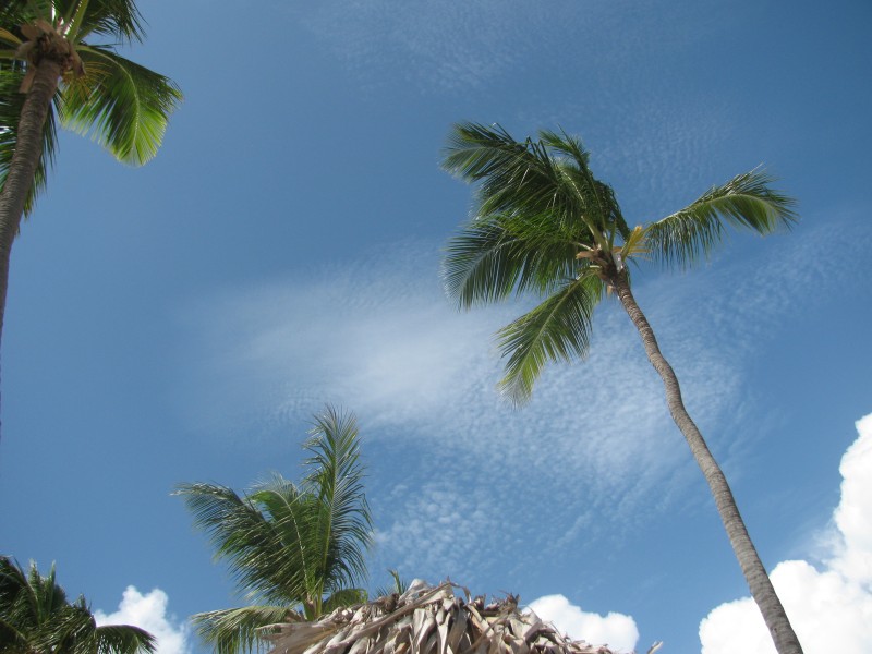 Dominican Republic 409.jpg